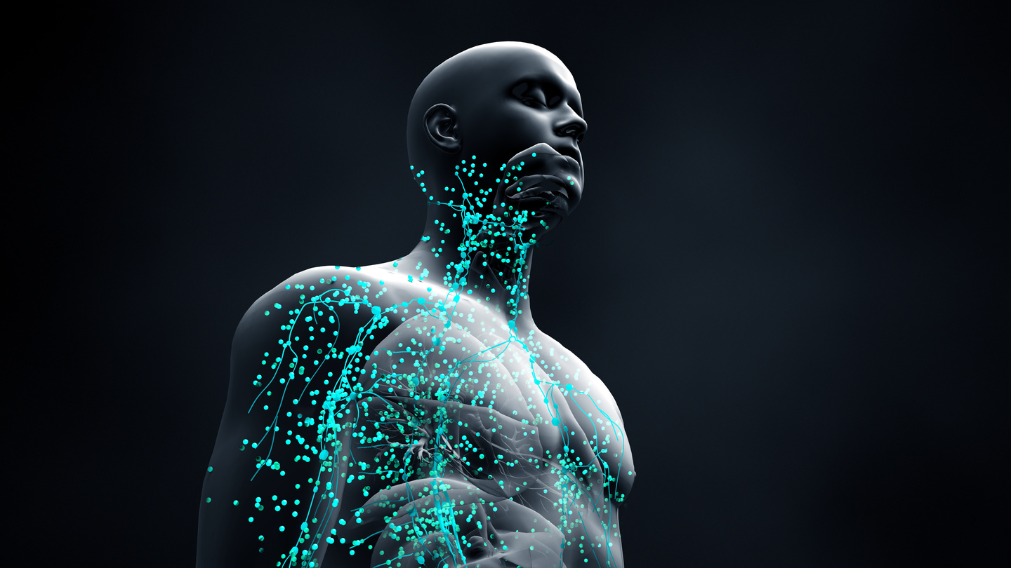 Immune system defends the body against infections and diseases